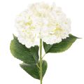 Floristik24 Kunstmatige hortensia met lange steel, kunstbloem 60 cm