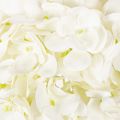 Kunstmatige hortensia met