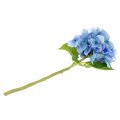 Floristik24 Hortensia blauwe kunstbloem 36cm