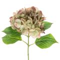 Floristik24 Kunstmatige hortensia met steel, 46 cm