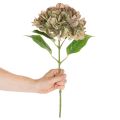 Kunstmatige hortensia met steel, 46 cm | Floristik24.nl