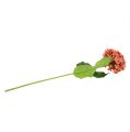 Floristik24 Hortensia roze 80cm 1st