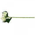 Floristik24 Hortensia, zijden bloem, kunstbloem voor tafeldecoratie wit, groen L44cm