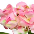 Floristik24 Hortensia roze 33cm