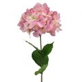 Floristik24 Hortensia roze 68cm