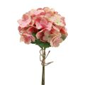 Floristik24 Hortensia kunstpluimhortensia roze zalm 35cm 3st