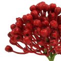 Floristik24 Hortensia knoppluk 22cm rood 12st