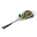 Floristik24 Hortensia knop tak 55cm roze 6st