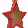 Floristik24 Kerstdecoratie houten ster natuur / rood 8cm 15st