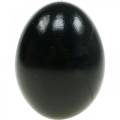 Floristik24 Kippeneieren Zwarte Paasdecoratie Geblazen Eieren 10st