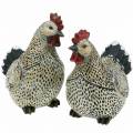 Floristik24 Sierfiguren Pasen, kippen 2 stuks