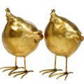 Floristik24 Deco kip Pasen decoratie figuur goud rond, H10 cm 2st