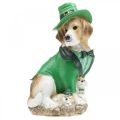 Floristik24 Beagle in Hat St. Patrick&#39;s Day Hond in pak Tuindecoratie Hound H24.5cm
