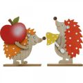 Floristik24 Herfstbeeldje, egel met appel en paddestoel, houtdecoratie oranje/rood H24/23.5cm set van 2