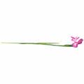 Floristik24 Iris kunstmatig Roze 78cm