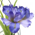 Floristik24 Iris sering in een glas om op te hangen H21.5cm