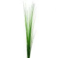 Floristik24 Isolepsisgrass lichtgroen 85cm 1st