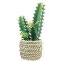 Floristik24 Cactus in pot kunstcactus assorti 28cm 2st