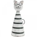 Floristik24 Kat met bril, decoratief figuur om te plaatsen, kattenfiguur metaal zwart en wit H16cm Ø7cm