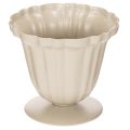 Floristik24 Decoratieve schaal, crèmekleurige trofee, klein, 10 cm