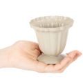 Decoratieve schaal, crèmekleurige trofee, klein, 10 cm | Floristik24.nl
