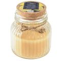 Floristik24 Kaars Citronella geurkaars glazen deksel honing H11,5cm