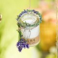 Floristik24 Kaars in een glazen decoratie met deksel Pure Nature wax kaars bijenwas olijfolie