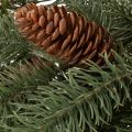 Decoratieve dennentak, kunstmatige slinger voor winterdecoraties, 190 cm | Floristik24.nl