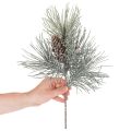 Kunstmatige dennentak met dennenappels, winters, 40 cm | Floristik24.nl