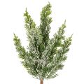 Floristik24 Kunstmatig met sneeuw bedekte dennentak voor bloemstukken en adventsdecoraties, 40 cm, 3 stuks