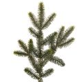 Floristik24 Kunstmatige dennentakken voor tafeldecoratie en arrangementen, 45 cm, 3 stuks