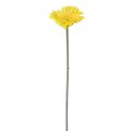 Floristik24 Kunstbloemen Gerbera geel 45cm