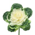 Floristik24 Kunstplantenkoolwit, groen 25cm 6st