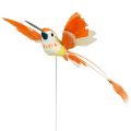 Floristik24 Kolibrie op de draad om in te pluggen Roze, Oranje 17cm 6st