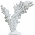 Maritieme decoratie koraalwit kunstmatige decoratiestandaard 11×12cm