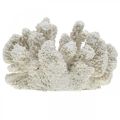Maritieme decoratie koraal wit kunsthars klein 13.5x12 cm