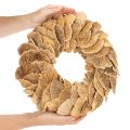 Krans van boompaddenstoelen, natuurlijke kleur, voor deur- of wanddecoratie, 37 cm | Floristik24.nl