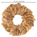 Krans van boompaddenstoelen, natuurlijke kleur, voor deur- of wanddecoratie, 37 cm | Floristik24.nl