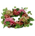 Floristik24 Krans hortensia&#39;s Ø60cm groen, roze 1st