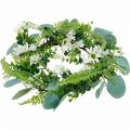 Floristik24 Kunstmatige eucalyptuskrans met varen, madeliefjes en jasmijn, deurkrans, decoratieve krans, tafeldecoratie
