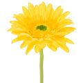 Floristik24 Kunstmatige gerbera's, zonnig geel, tuinbloem, 47 cm, 6 stuks