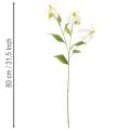 Kunstmatige Gloriosa-bloem, wit en geel, elegante bloeiende tak voor decoratie, 80 cm, 3 stuks | Floristik24.nl