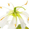 Kunstmatige Gloriosa-bloem,