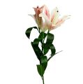 Floristik24 Kunstlelie roze met echte aanraking 100cm