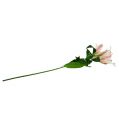 Floristik24 Kunstlelie roze met echte aanraking 100cm