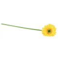 Floristik24 Kunstbloemen gerbera zonnig geel 47cm