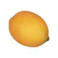 Floristik24 Kunstvoedingsdummies citroen citroen oranje 8,5cm