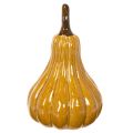 Decoratieve pompoen voor