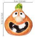 Decoratieve pompoenfiguurtjes als leuke herfstdecoratie, 6 cm, 2 stuks | Floristik24.nl