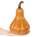 Keramische pompoen als herfsttafeldecoratie, 26 cm | Floristik24.nl